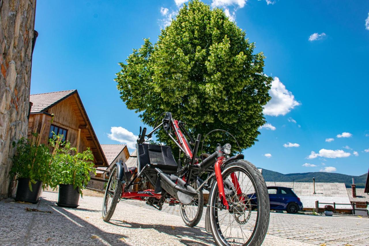 youth hostel arsviva Stari Trg pri Lozu Exterior foto